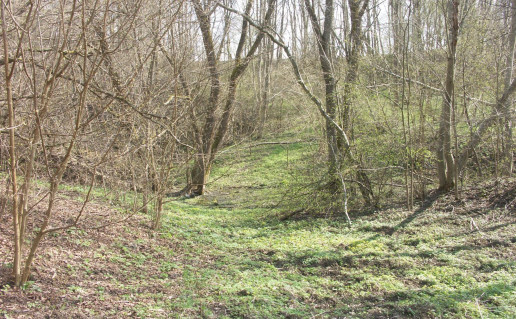 4_Brazuoles piliakalnis2.jpg